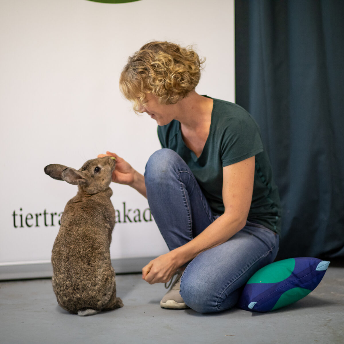 Mein Kaninchen - Ratgeber
